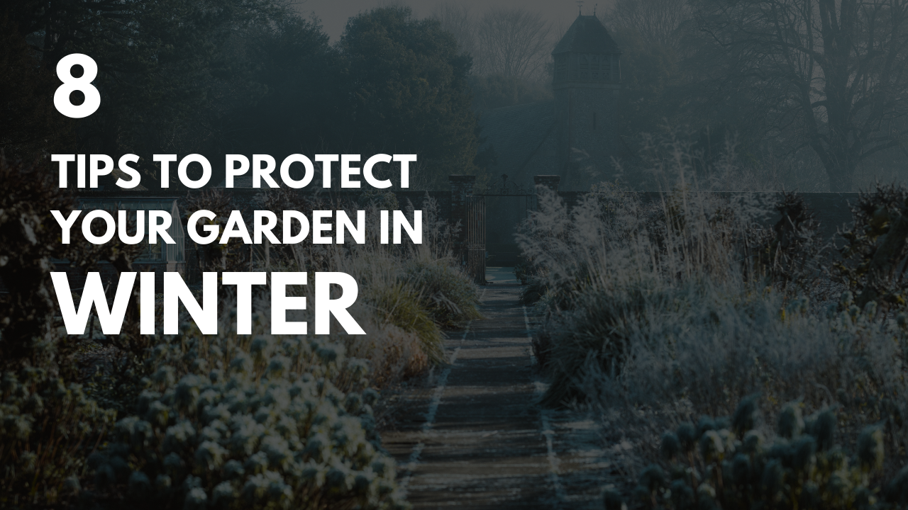 How to Protect Your Garden in Winter- 8 Useful Tips.