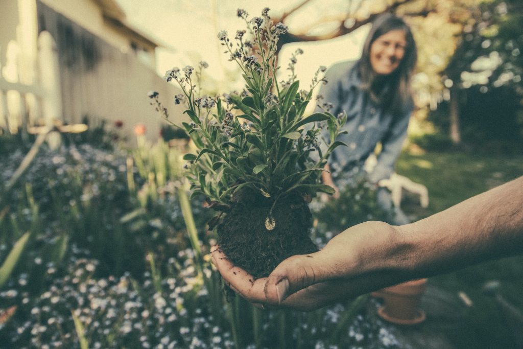 12 Important Tools You Need For Your Garden