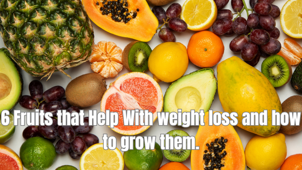 Fruits that help with weight loss