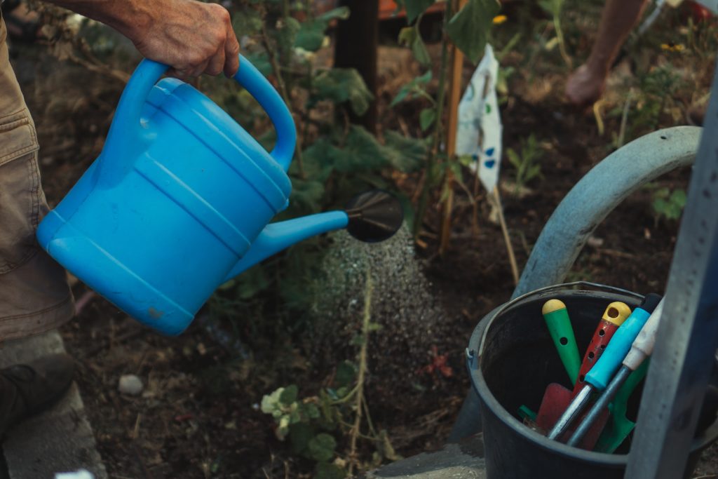 7 Important Winter Garden Tools For Every