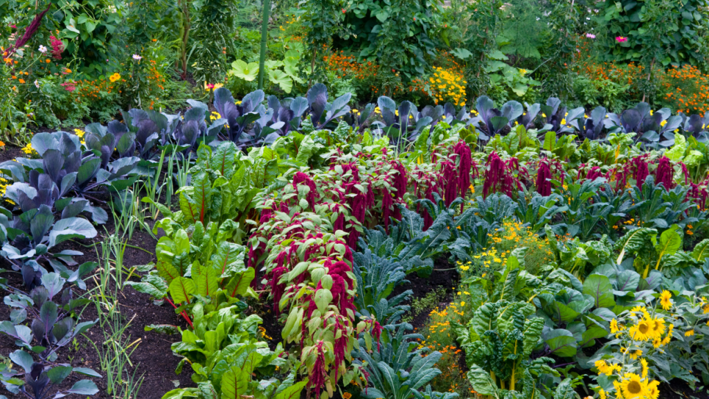 Vegetable gardening