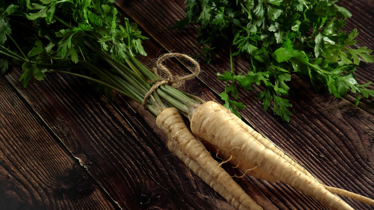 Growing Parsley Leaves And Roots: The Complete Guide
