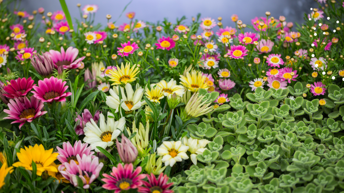 How To Create A Beautiful Flower Garden In 2023